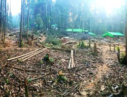 Tim Polres Ketapang Tertibkan PETI di Lokasi Tambang Ilegal Ketapang