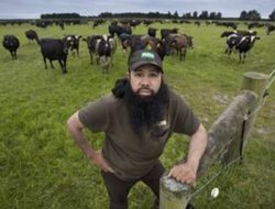 Pria Kelahiran Ponti,Sukses Ternak Sapi di New Zeland