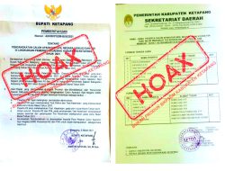 Hati-Hati Hoax Pengangkatan K2 dan PPPK di Ketapang