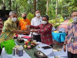 Peternakan Madu Kelulut Tomi Go Jakarta