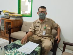 Stok Sapi Potong di Ketapang Kelebihan 408 Ekor