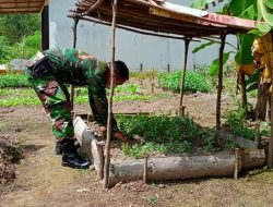 Koramil Simpang Hilir Kodim 1203 ketapang,manfaatkan lahan Sempit untuk Bertani dan Pelihara Ikan