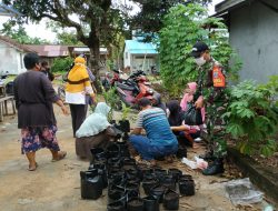 Babinsa Desa Baru Kodim 1203/ktp Budidayakan Tanaman Obat