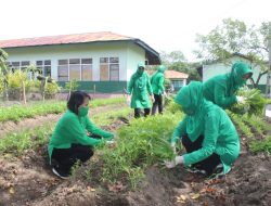 Kebun Skala Rumah Tangga Persit Cabang XLVII Kodim 1203/ktp