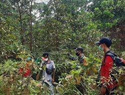 Wujutkan Sinergitas Pencegahan Karhutla,Babinsa Kendaeangan Patroli Terpadu