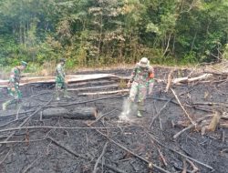 Titik Hotspot terpantau Satelit,Babinsa Kodim 1203/ktp.bergegas ke Lokasi