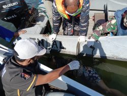 Warga asal Putusibau ditemukan meninggal di Laut ketapang