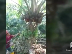 PT BGA Tetap Konsisten Atasi Permasalahan Lahan Warga