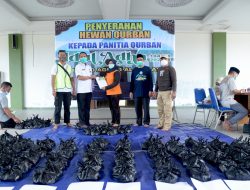 Masjid Agung Al-Ikhlas Ketapang 1.250 Kupon Daging Kurban
