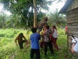 Penemuan Mayat Gantung Diri Di Kecamatan Tumbang Titi