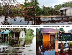 DUA PEKAN BANJIR SINTANG RENDAM PEMUKIMAN DAN JALAN