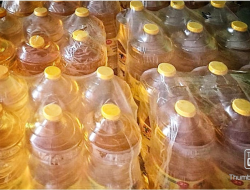 Syarat Dapat BLT minyak Goreng total rp.500 ribu