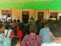 Desakan Petani Plasma Kopbun SPS Minamas (pt.Budidaya Agro Lestari)