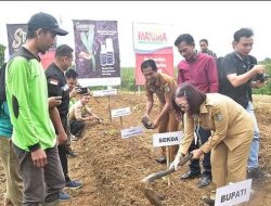 HADAPI INFLASI SEKDA SINTANG HIMBAU WARGA TANAM KOMODITAS