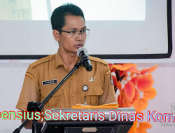 Sosialisasi Portal Satu Data Kab.Ketapang