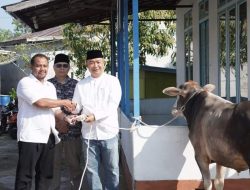 Sekda Alexander Wilyo Serahkan Hewan Kurban ke Surau Dekat Rumahnya