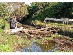 Masih Rehab Parit Loujek dan Teratong