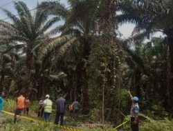 Pt HSL-Cargill Grup diduga belum bayar Lahan Masyarakat