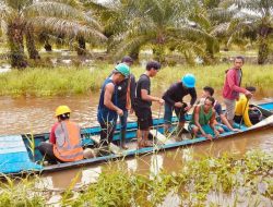 Mak2 Diterkam Buaya di Air Hitam Besar Kendawangan