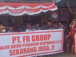 Perusahaan Milik Ciliandra Fangiono Didemo di Ketapang