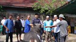Polres Ketapang Serahkan 11 Ekor Sapi dan 3 Ekor Kambing Qurban di  Idul Adha 1447 H