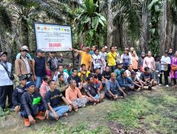Kuat Dugaan PT.HKK-Timur Langgar Aturan Penanaman Kawasan Hutan rugikan Negara Ratusan Millyar 