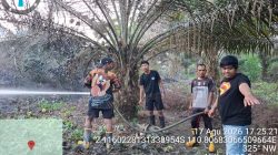 Kesiapsiagaan dan Penanganan Karhutbunla PT. PLA Marau