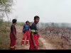 Karhutla PT Cargill Ketapang