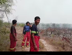 Karhutla PT Cargill Ketapang