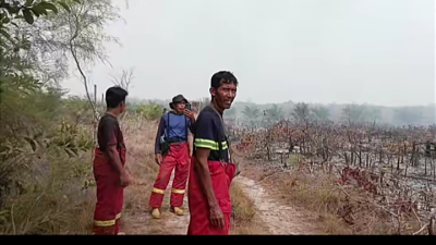 Karhutla PT Cargill Ketapang