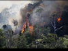 20 Hektar lahan Sawit PT.KAL-FR Terbakar